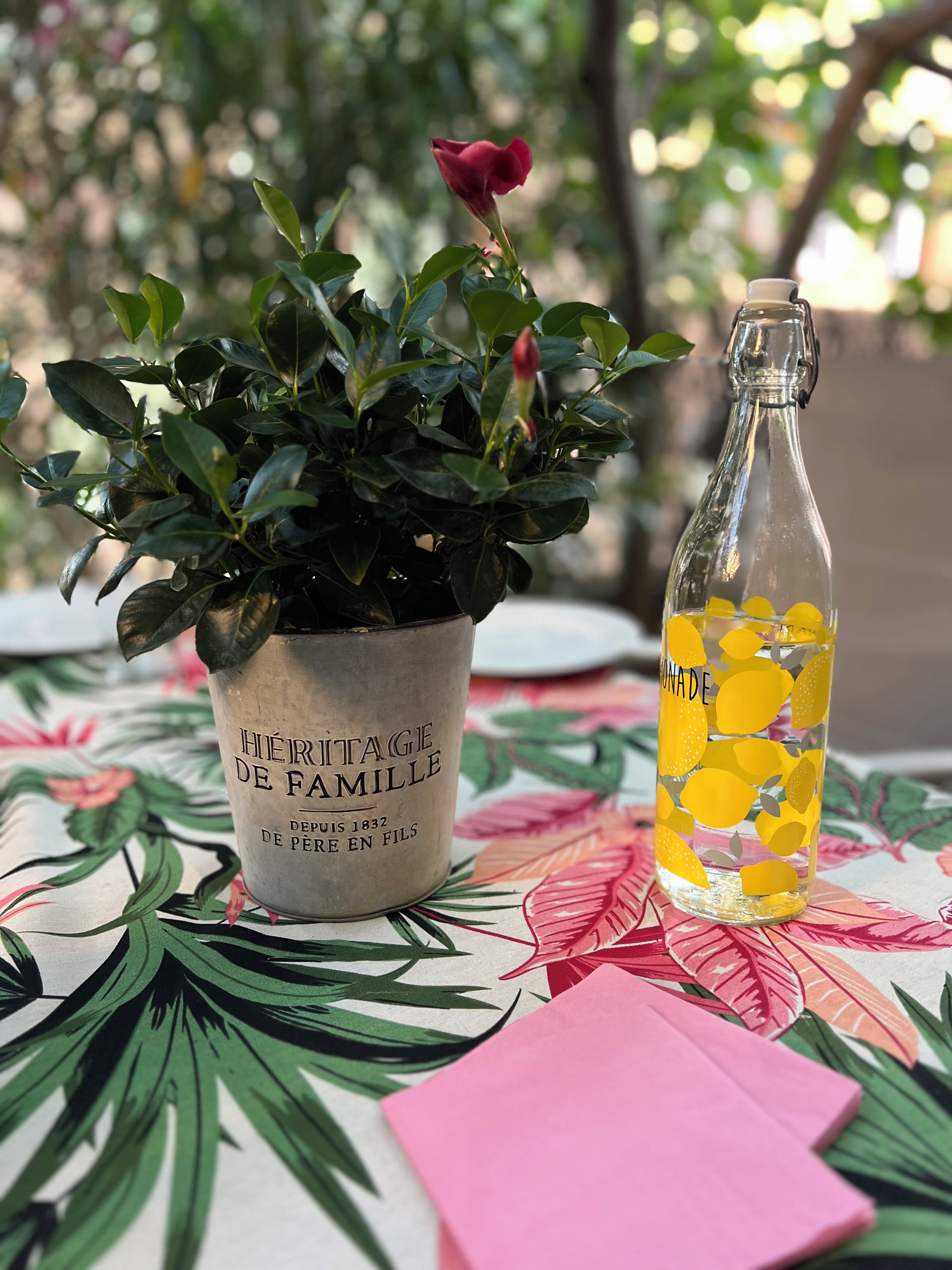 Une plante en pot, avec une étiquette, et une bouteille contenant des tranches de fruits jaunes, posées sur une table.