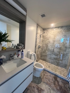 Shower, hair dryer, towels, soap
