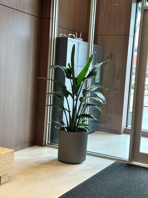 Un intérieur moderne agrémenté d’une plante en pot, d’un comptoir d’accueil et d’une porte vitrée donnant sur l’extérieur.