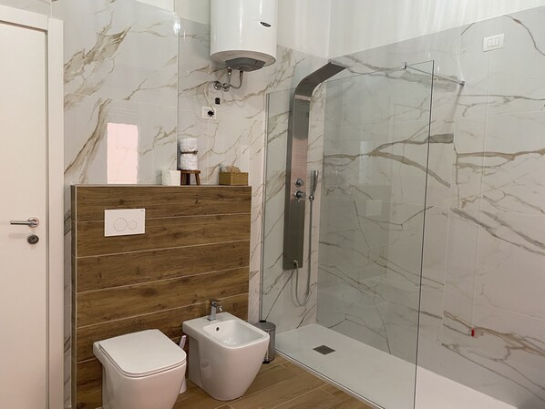 Shower, hair dryer, bidet, towels