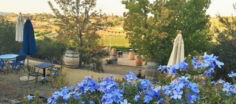 Vindemia Estate Vineyard & Winery Guesthouse stay 