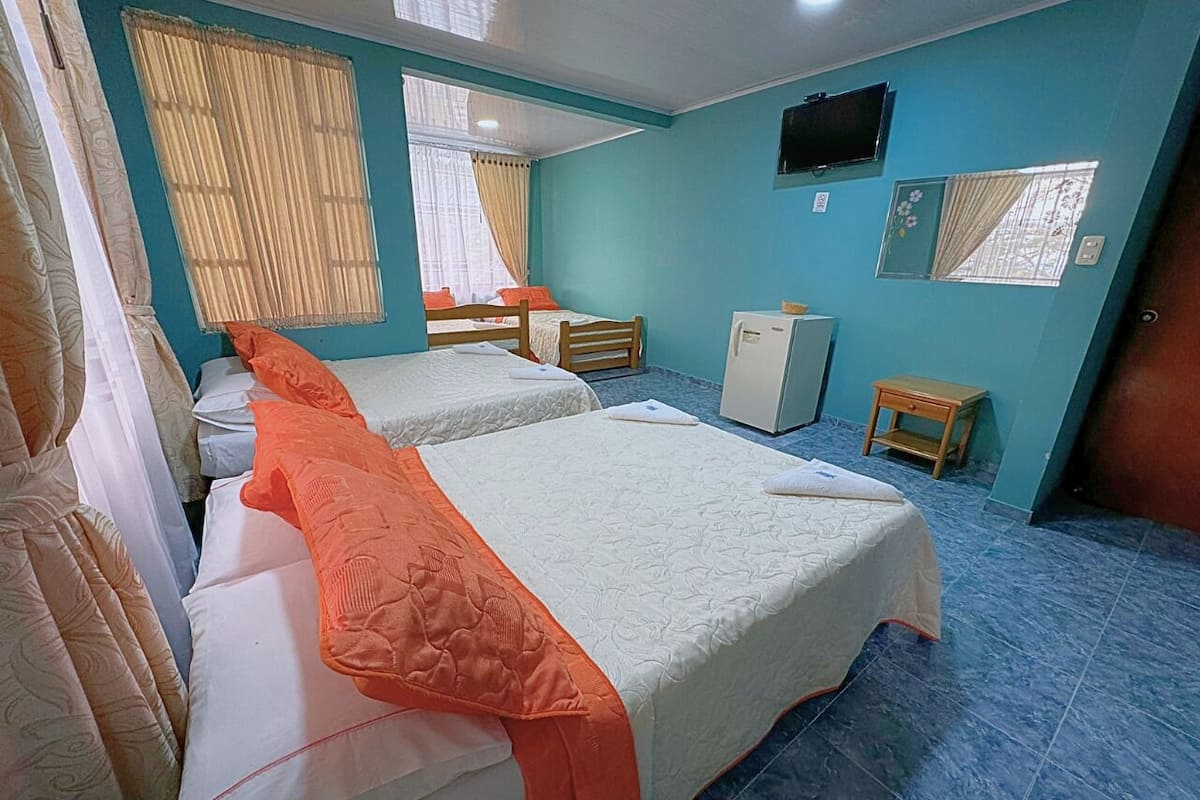 Ropa de cama de alta calidad, cubrecamas, minibar y wifi gratis