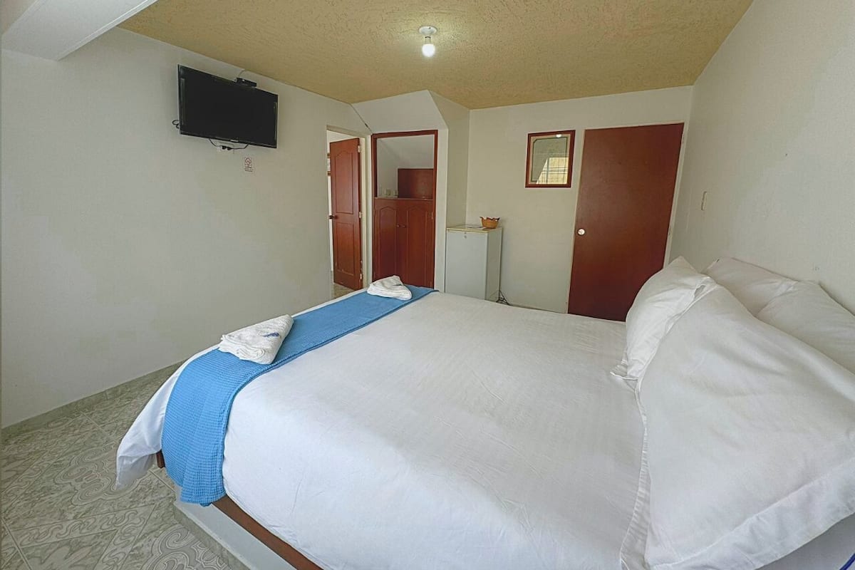 Ropa de cama de alta calidad, cubrecamas, minibar y wifi gratis