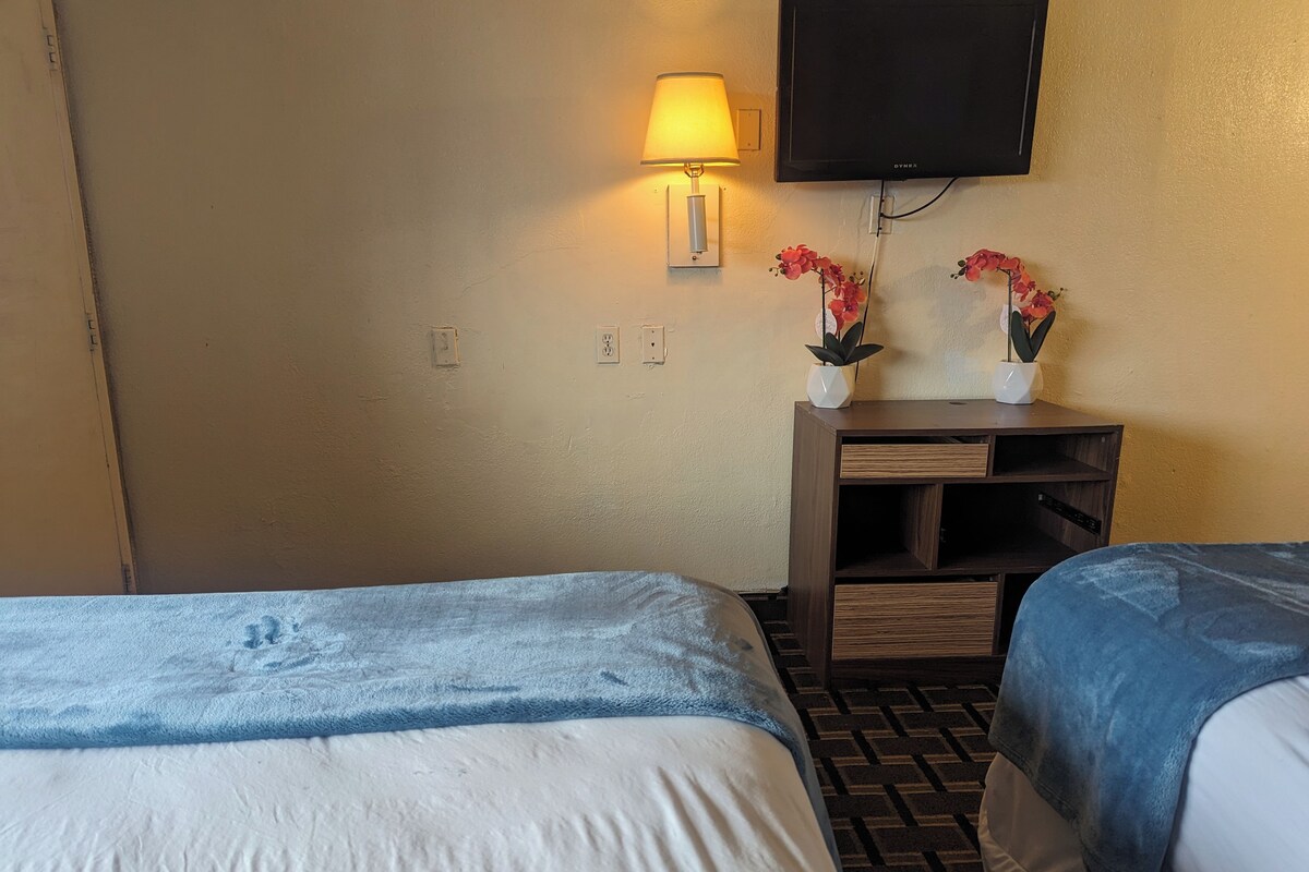 A hotel room with two beds, a TV mounted on the wall, a lamp, and two potted plants.