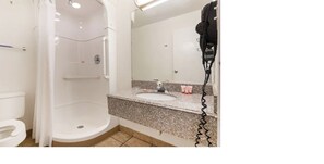 Une salle de bain équipée d’une douche, de toilettes, d’un lavabo et d’un sèche-cheveux posé sur le comptoir.