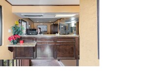 Uma cozinha com bancada de mármore, armários de madeira e um vaso com planta.