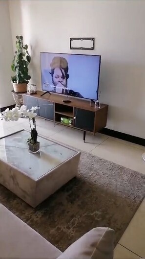 Smart TV 