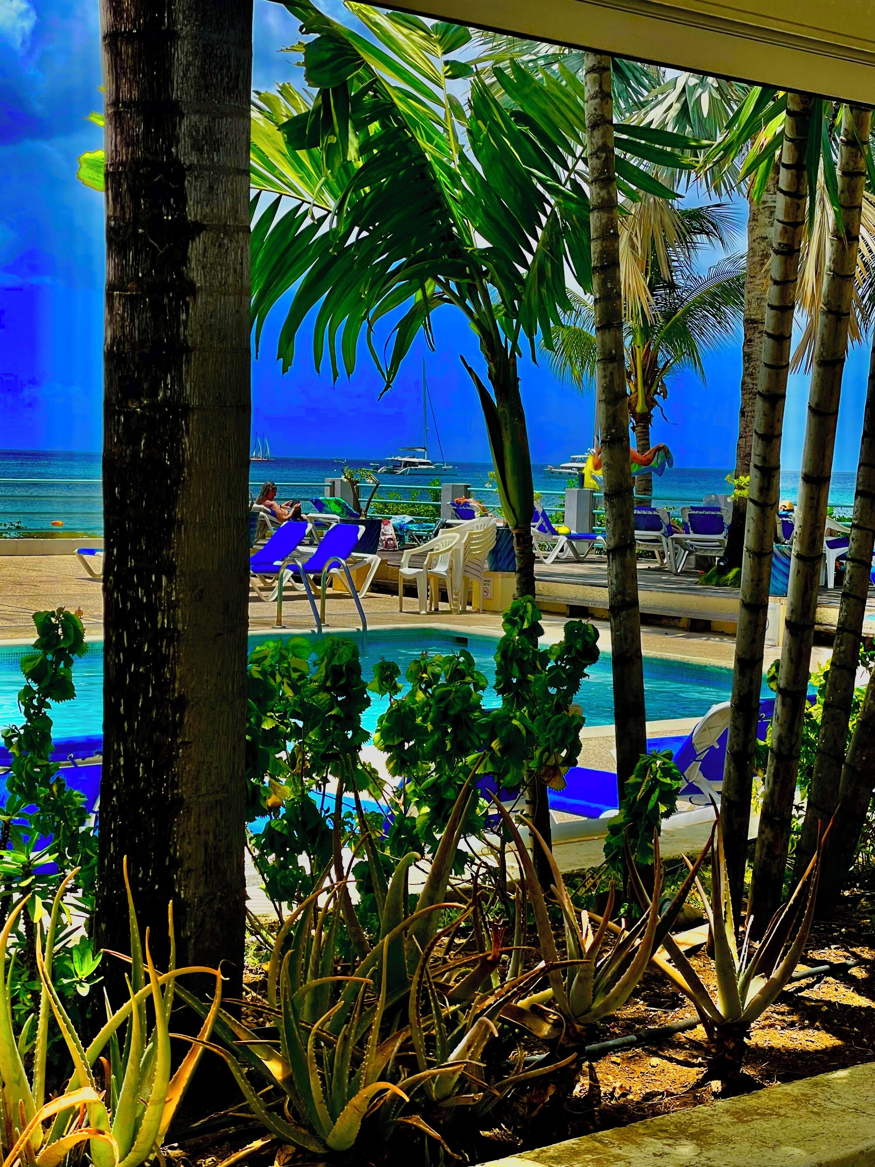 Outdoor pool