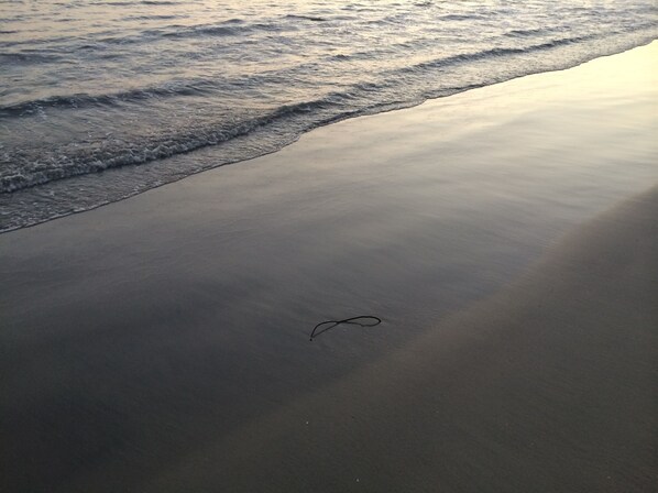 Beach - Boho Ocean Condo Walkable to Beach, Pier, Convention Center,Restaurants,Bars etc (Long Beach)