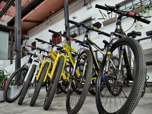 Bicycling