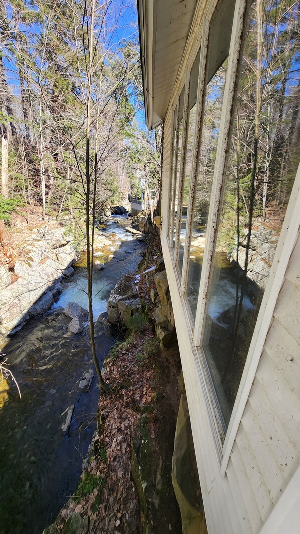 Àrea exterior de l'allotjament