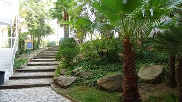 Terrein van de accommodatie