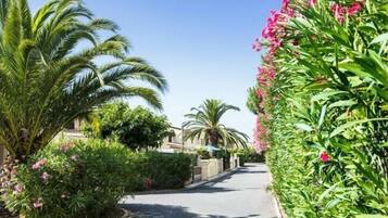 Ărea da propriedade