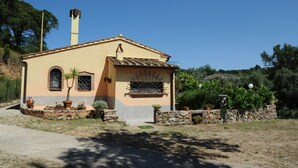 Una casa de un piso con tejado de tejas, una chimenea, un pequeño jardín con plantas en macetas y un muro de piedra.