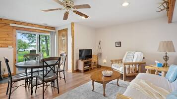 TV connectée, cheminée, jeux vidéo, lecteur de DVD