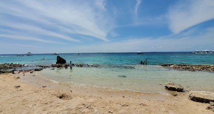 Avocondo Brentwwod 1BR StylishQuiet, 5minwalk to Shops&Restaurants,ClosetoBeach