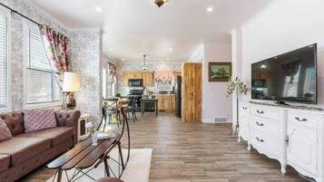 Smart TV, DVD player, books, video library