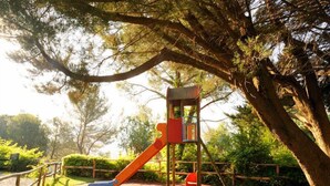 Un parque infantil con un tobogán y una estructura para escalar, rodeado de árboles y césped.