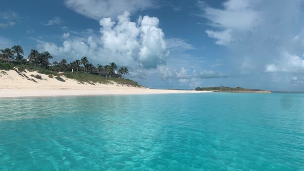 Een strand met helder turquoise water, wit zand en palmbomen.