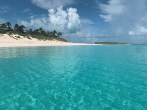 A beach with clear turquoise water, white sand, and palm trees. - Relax in a beautifully renovated beach villa on a legendary beach! (Treasure Cay)