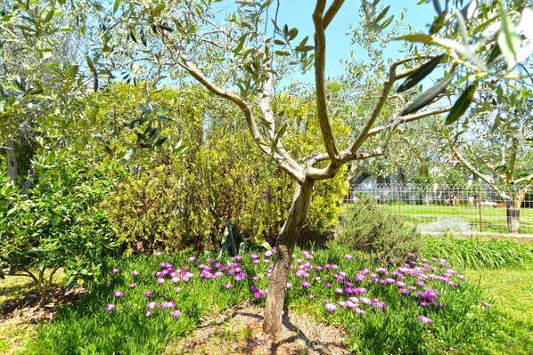 Terrain de l’hébergement 