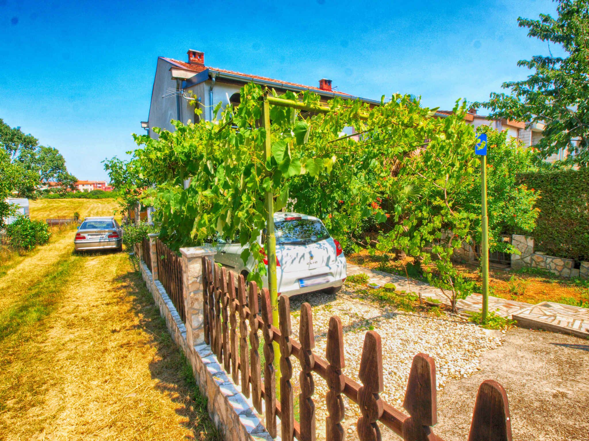 Une maison avec un vignoble dans le jardin, une allée en gravier et une voiture garée.