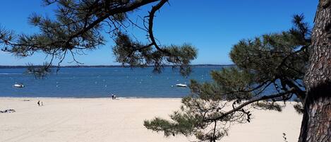 Playa