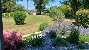 Un jardin avec différentes sortes de plantes et une pelouse.
