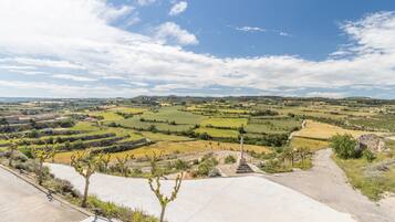A rural landscape with fields, a monument, and a paved area.