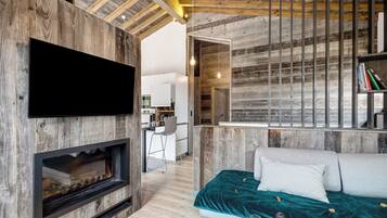 TV, fireplace, video game console