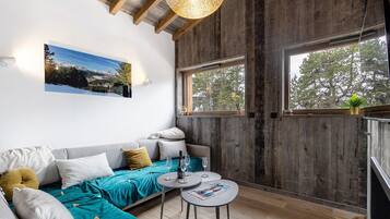 TV, fireplace, video game console