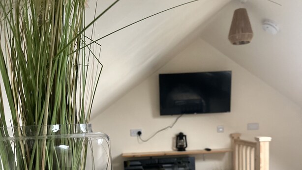 A cozy living room with a fireplace, a flat-screen TV mounted on the wall, and a potted plant on a table. - Charming 1-Bed Apartment in Hereford (Hereford)
