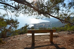 Property grounds - Cyprus-2 bedrooms both ensuite, pool, patios, wifi (Polis Chrysochous)