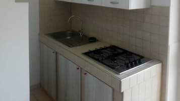 Fridge, stovetop, cookware/dishes/utensils