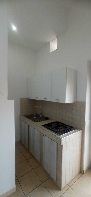 Fridge, stovetop, cookware/dishes/utensils