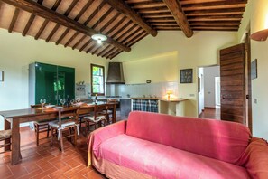 Televisio, takka, pöytätennispöytä