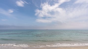 在海灘附近