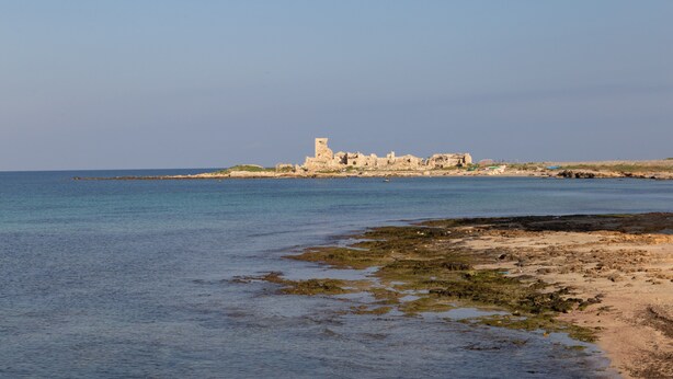 A coastal scene with a historic building complex by the sea, clear skies, and calm waters. - Apartment 'Capitan Trinchetto Agave' with Mountain View, Private Terrace and Wi-Fi (Trapani)