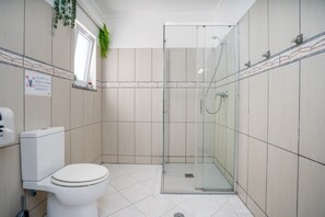 Chuveiro, secador de cabelo, toalhas de banho 