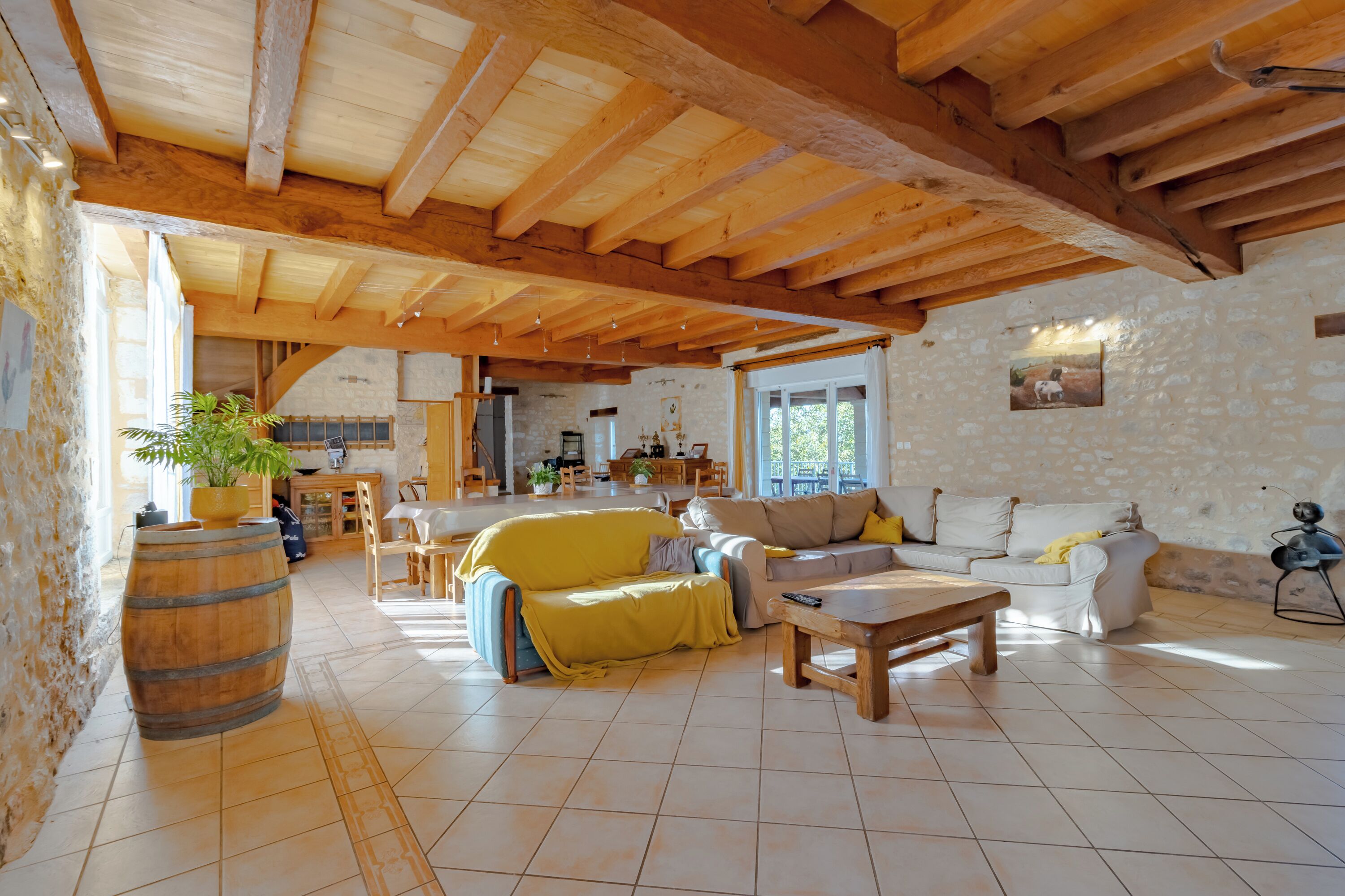 Televisión, reproductor de DVD