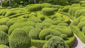 Jardines del alojamiento
