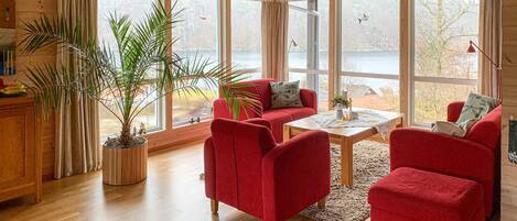 Televisión, chimenea