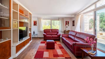 Televisión, chimenea