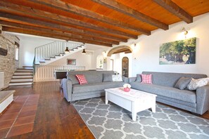 TV, fireplace - Villa with swimming pool, children's playground and fitness room (Tinjan)