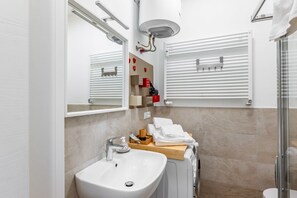 Shower, hair dryer