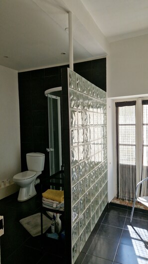 Un baño con inodoro, ducha y mampara de vidrio.