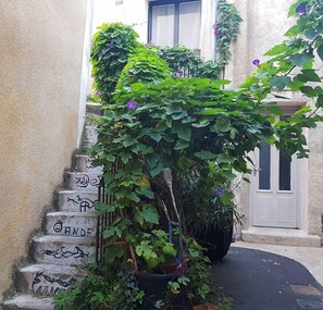 Detalle exterior