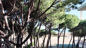 A row of tall, slender trees with a clear view of a sandy beach and a body of water in the background. - Holiday apartment near the sea (Lido di Jesolo)