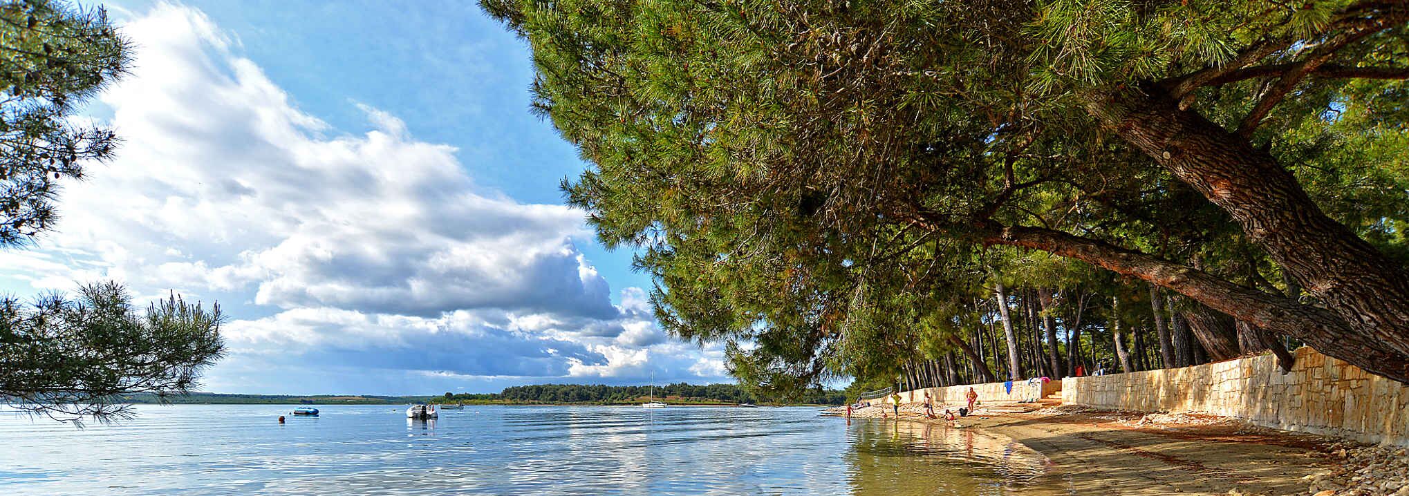 A waterfront scene with boats, a stone wall, and trees.