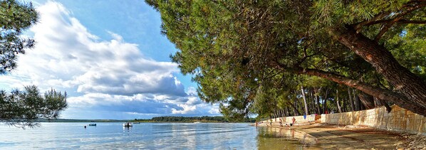 A waterfront scene with boats, a stone wall, and trees.
